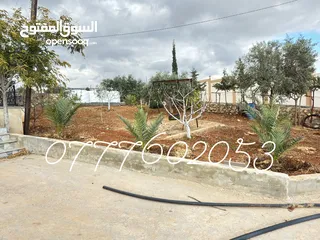  7 مزرعة لقطة مميزة مع بيت طابقين مطلة ومرتفعة