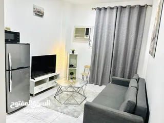  1 Furnished One Bedroom for Monthly Rent