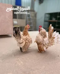  2 يوز سيراما