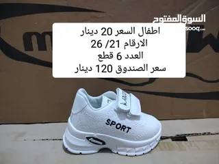  17 البيع بالجمله فقط