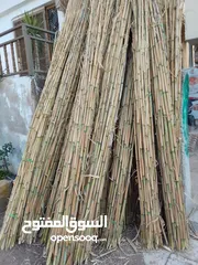  4 قصيب لسند الفلفل والشتال والمعرشات بأقل الاسعار والجوده اتصل بنا أو احجز على الواتس اب