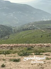  6 ارض للبيع في جرش مشروع عنيبه 17قطعة 3500متر بقوشان مستقل واصل الخدمات كامله اطلاله بنوراما مميزه جدا