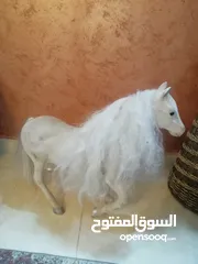  3 مجسم خيل  ابيض