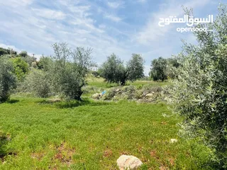  6 960 م شارع الستين