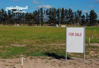  1 قطعة أرض للبيع  رجم عميش