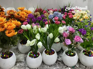  1 شروة مكرمة و قوار ورد