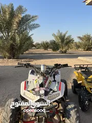  3 البقي صيني