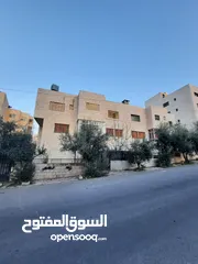  1 بيت مستقل منطقة الجبيه ام زويتينه