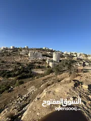  1 ارض واد الزرزير مطله وهادئه