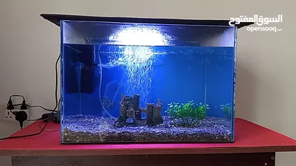  7 Fish tank with all accessories table and fish