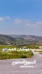  24 ارض مميزه للبيع بمساحه 950م و بسعر تنافسي من المالك _ شارع مادبا الغربي _طريق الجامعة الالمانية