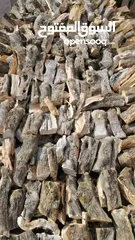  4 جميع انواع حطب ناشف والخضرا وقص الشجار