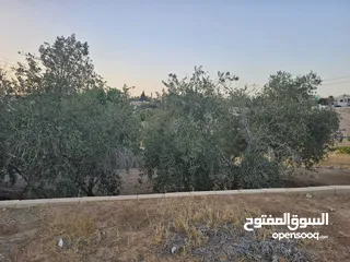  3 منزل مستقل لبيع في ذيبان