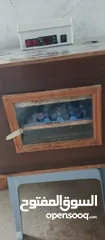 1 فقاسة للبيع