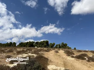  5 فرصه استثماريه جميله ارض للبيع في الكمشه جميله ومطله ومرتفعه