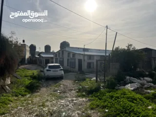  1 مشروع دواجن متكامل وجاهز للإنتاج – ليس مجرد أرض