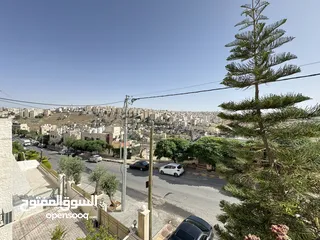  4 Three bedroom with A Beautiful View for Rent in Abdoun ( Property 43136 )-174824995