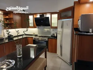  20 شقه طارق ارضي