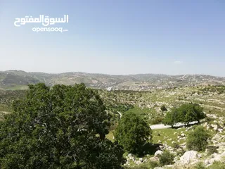  6 ارض للبيع في البيادر ابو السوس