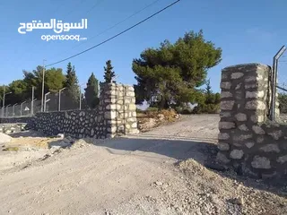  11 استصلاح اراضي زراعيه بناء سناسل حجريه سلاسل حجريه تشييك اراضي تشييك مزارع تنسيق حدائق وبناء