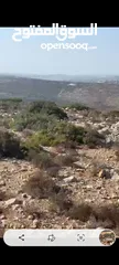  1 ارض للببع في بتونيا للبيتاء اسكان