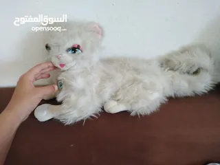  14 العاب اوروبيه