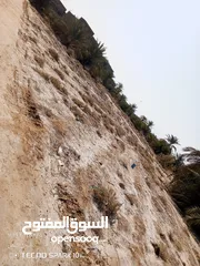  3 قطع ارض زراعيه