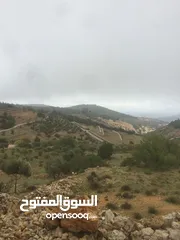  13 أرض ممتازة في جرش للسكن و للزراعة بقرب أحراش الدولة و سعر مغري  للمزيد من المعلومات اقرأ الوصف