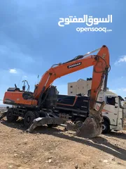  1 للبيع Dosaan باقر نوع