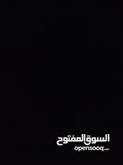  10 حساب بلوكس فروت للبيع  لفل 550  فواكه نادرة  فلوس 2,500,000  توزيع ممتاز  قابل للتفاوض