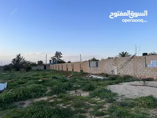  8 مزرعه للإيجار في سيدي خليفه تحتوي علي منزل