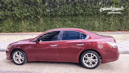  8 Nissan Maxima 3.5ltr 2013