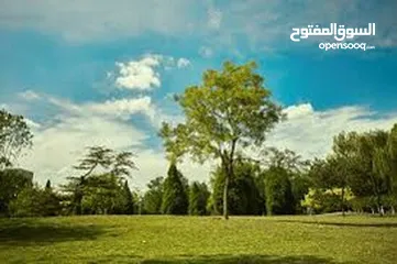  2 مطلوب حوش او مزرعه للايجار 75 دينار لتربيه الطيور والحلال