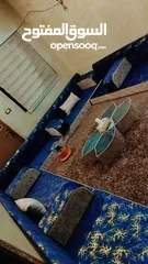  21 جلسات عربية جديد ضغط عاااااالي 14سكني بالكامل