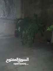  30 شقة للبيع في طبربور