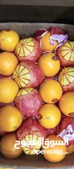  8 زهرة الطماطم لتوريد الخضار والفاكهة