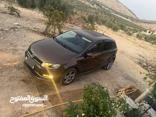  8 بولو جير عادي الحبة النادرة باللون و الجمال و الفحص