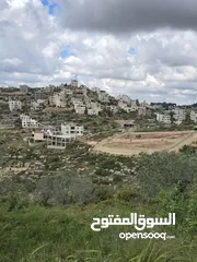  2 بيت عظم ع ارض مساحه 650 متر اطلاله غربيه للأبد
