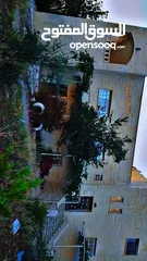  2 منزل للبيع