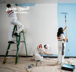  5 Fast painting service in very less price with Good quality work