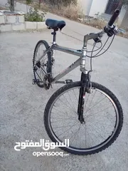  11 بسكوليت الماني جنط 26