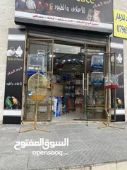  7 محل قطط وعصافير