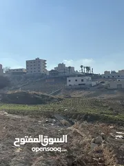  4 ارض مميزه بسعر مغري بجانب الجبيهه مباشرهضمن اراضي صافوط حوض ام مرهف الجنوبي وبسعر مغري جددا