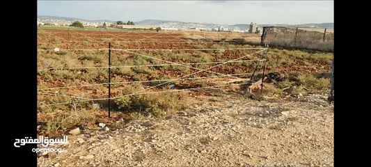  4 الظاهر لتسييج و تشيييك الاراضي الزراعية و التجارية