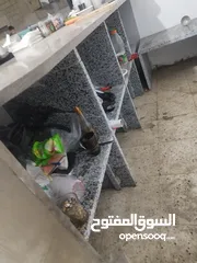  6 متوفر عدة مطعم للبيع بسعر مغري