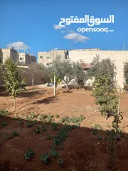  4 بيت للبيع في الرجم الشامي
