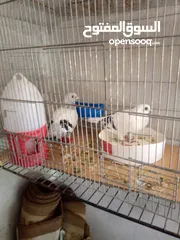  4 حمام للبيع