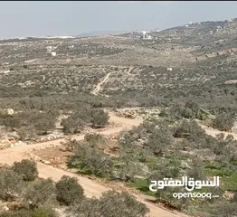  3 قطعة ارض 1728 متر كوشان طابو في كفرعبوش ، تنازل من المالك مباشرة