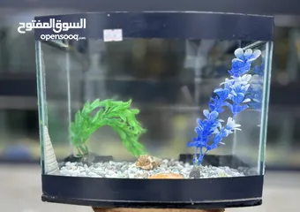  6 حوض حجم صغير للبيع