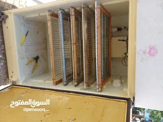  4 فقاسة 550 بيضة دجاج و 2500 بيضة فر نسبة نجاح 90+%